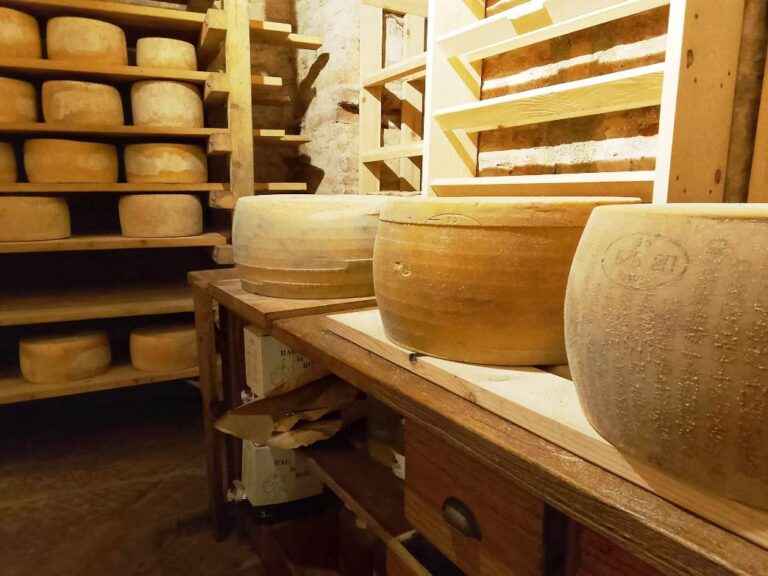Pecorino på en toskansk ostegård